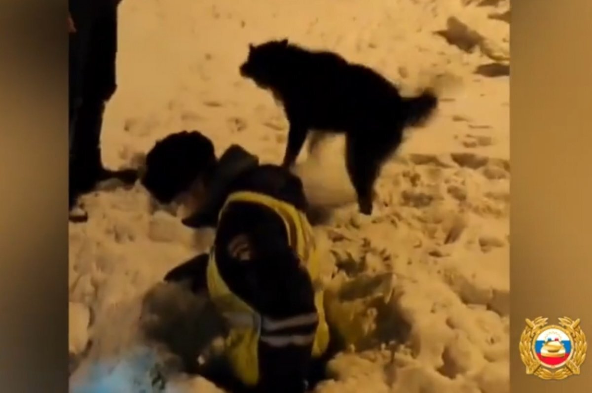    В Красноярке полицейские спасли собаку из открытого коллектора