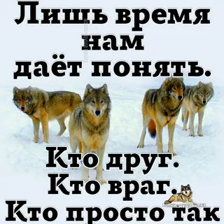 Друг моего врага мой враг.