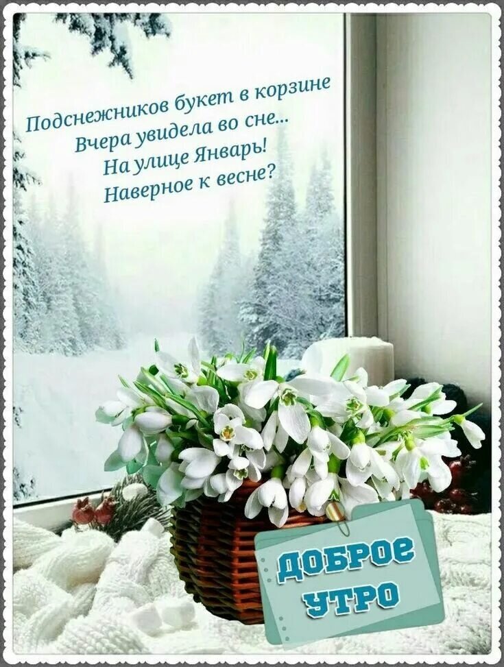 Христианские пожелания с добрым утром зимние. Доброе утро стподснежниками. Пожелания доброго зимнего утра. Поздравление с зимним утром женщине. Доброе утро подснежники картинки с надписями