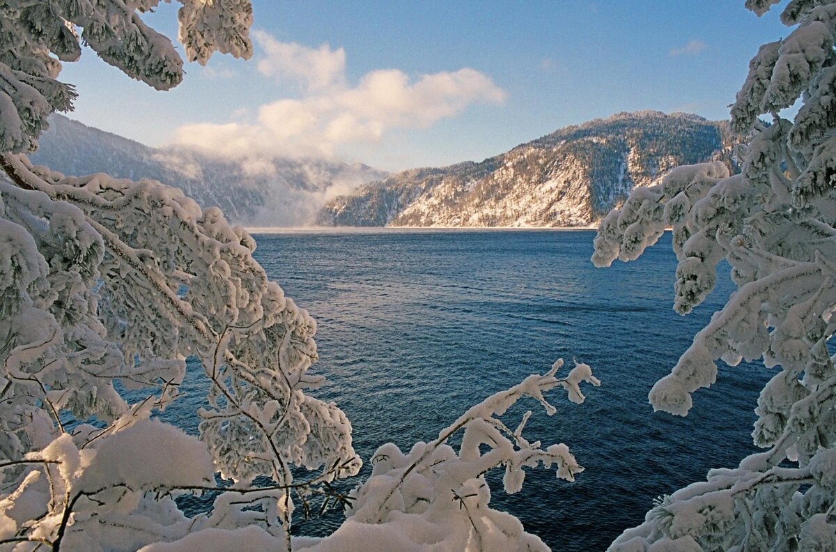 Фото Алексея Саламатова 