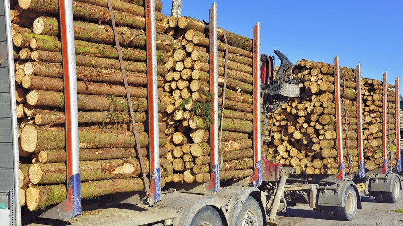   globallookpress.com Horst Sollinger