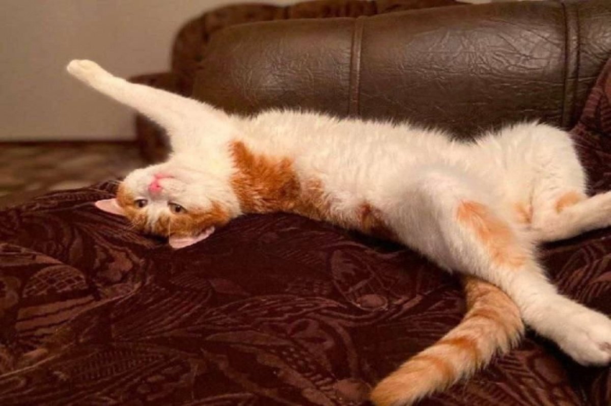    Высокий уровень внимания общества помог разобраться в ситуации, при этом многие стали осуждать поведение проводницы.