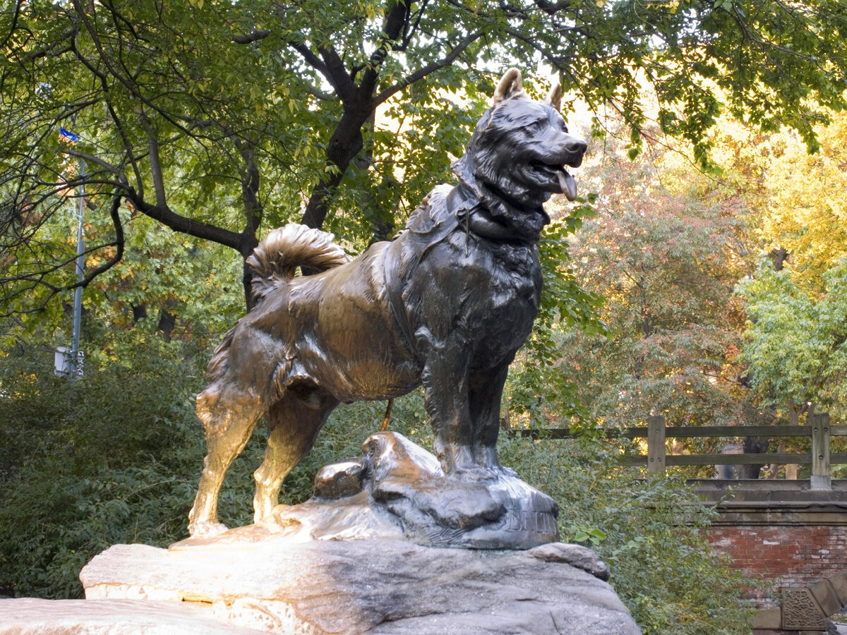 Собаки город александров. Памятник собаке Балто. Статуя Балто в Центральном парке Нью-Йорк. Памятник собаке Балто в Нью-Йорке. Памятник Балто Центральный парк Нью-Йорк США.