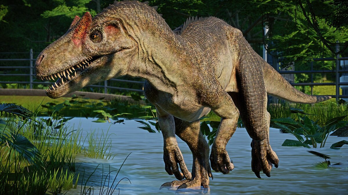 Главные динозавры. Аллозавр парк Юрского периода. Аллозавр мир Юрского периода. Аллозавр динозавр Jurassic. Аллозавр мир Юрского периода 2.