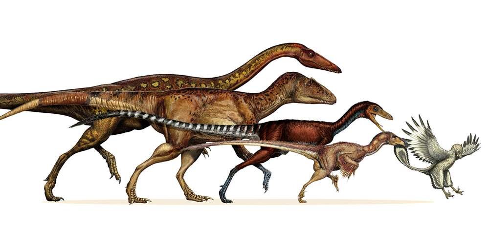 Аллозавр второй слева