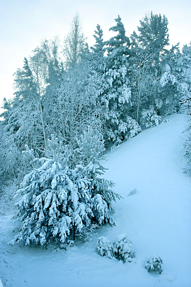 Фотография, стихотворение Василия Глуцкого