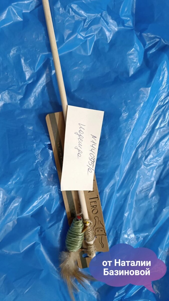 Кошка кусает. Тяжелые времена рожда. Сложные времена рождают. Тяжелые времена сильных котят. Тяжелые времена сильных котят.