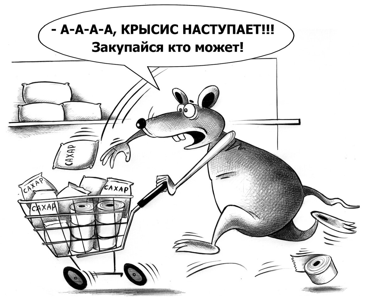 карикатура Сергея Корсуна (vk.com/kor_sun)