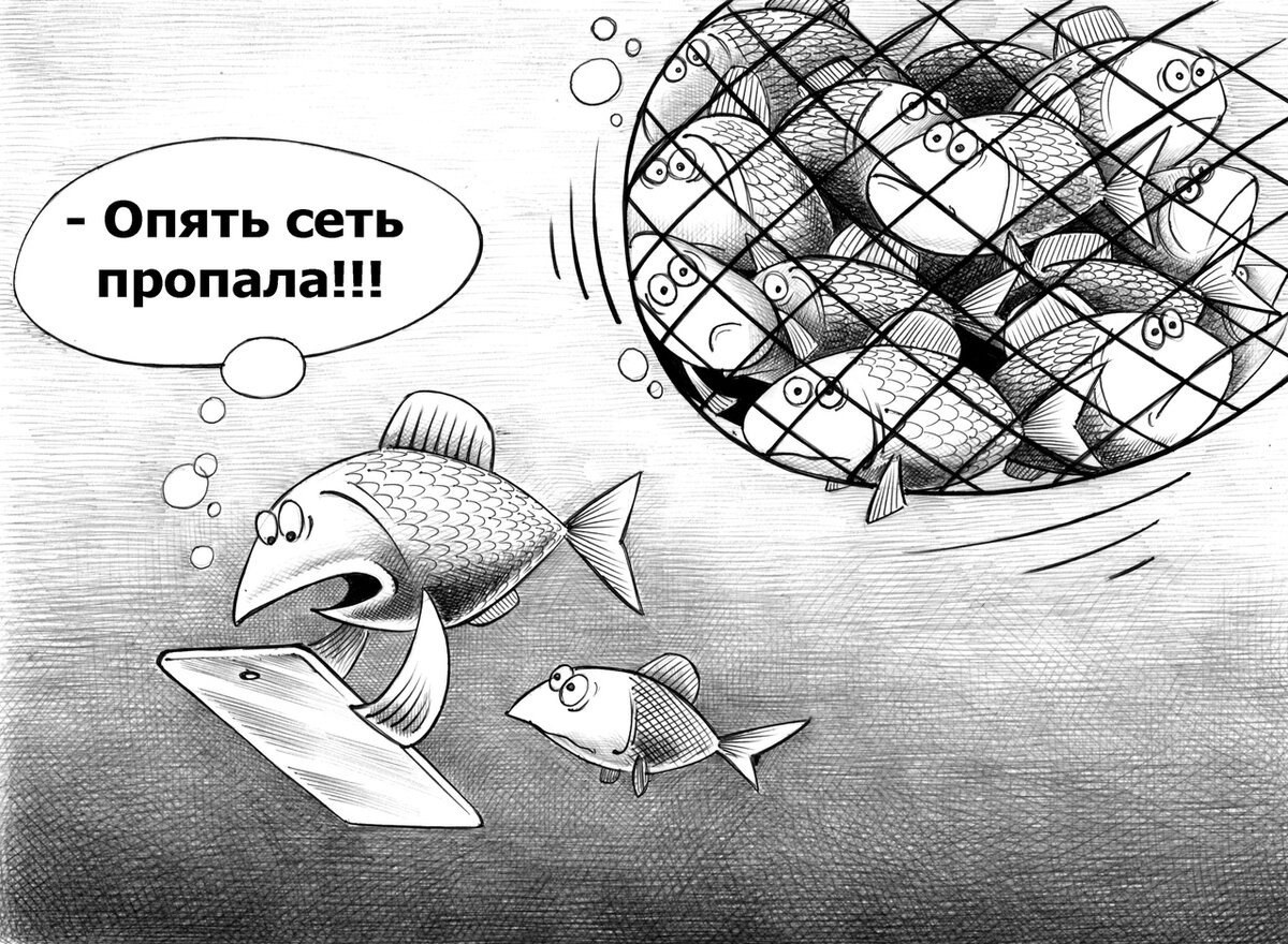 карикатура Сергея Корсуна (vk.com/kor_sun)