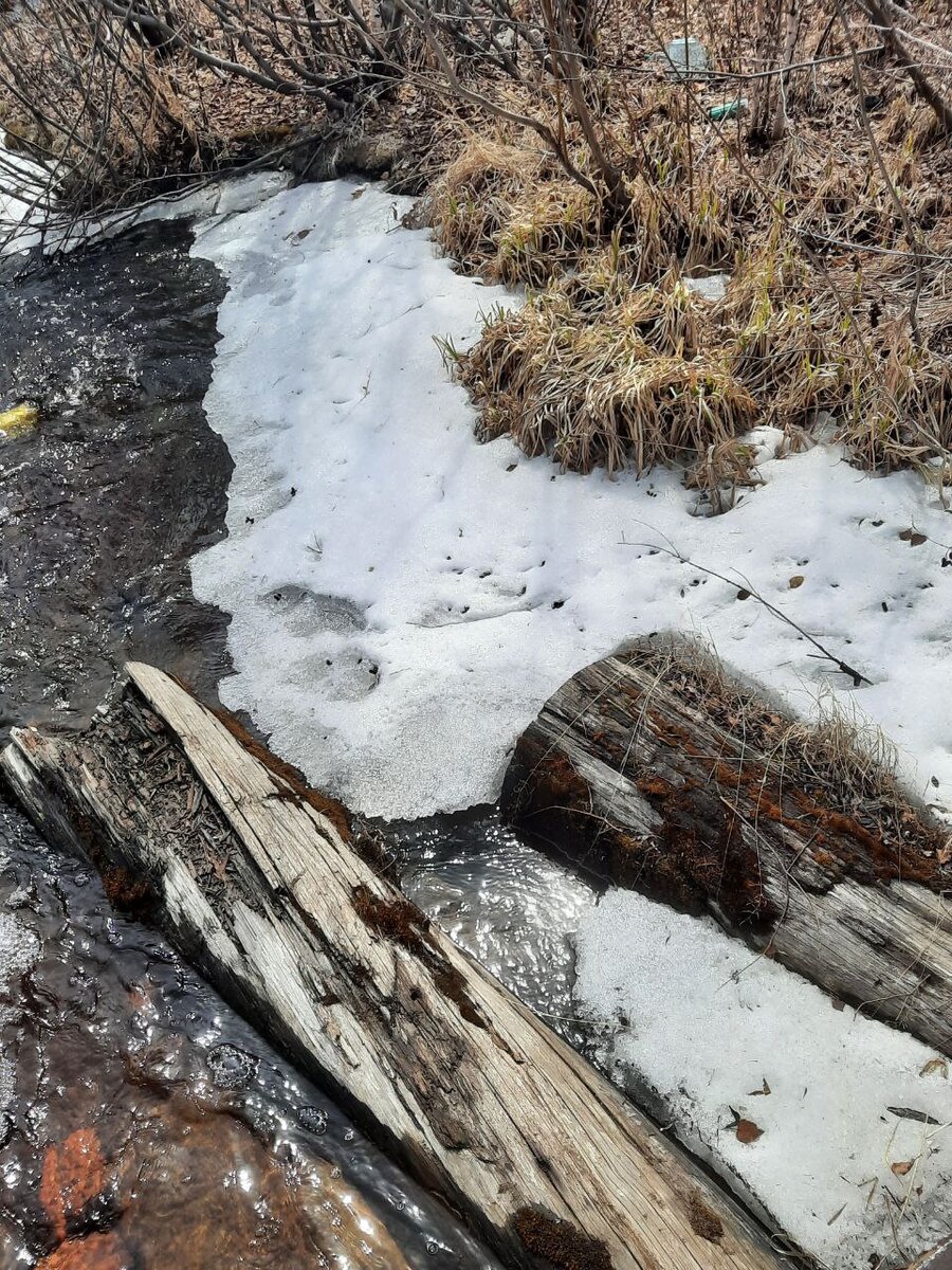 Фото автора.