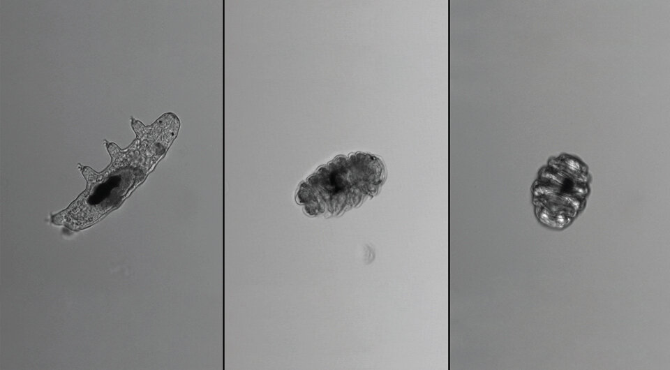   Amanda L. Smythers et al. / PLOS ONE, 2024