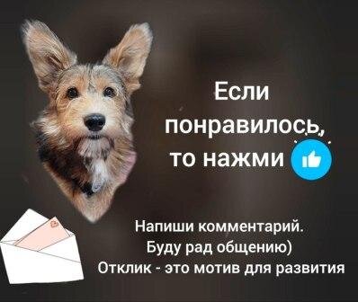 Странно такая крыса а сыр не любит. Как говорил один знакомый еврей. Цитаты которые заставляют улыбаться. Какая разница что говорят за спиной если. И всем знакомым говорил что есть.