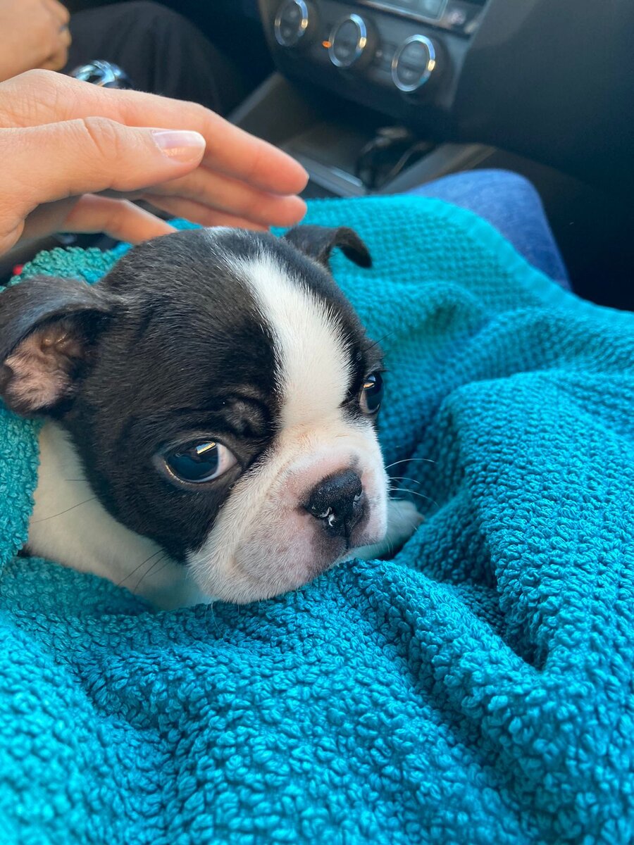 Привозили нам её  на автобусе. 