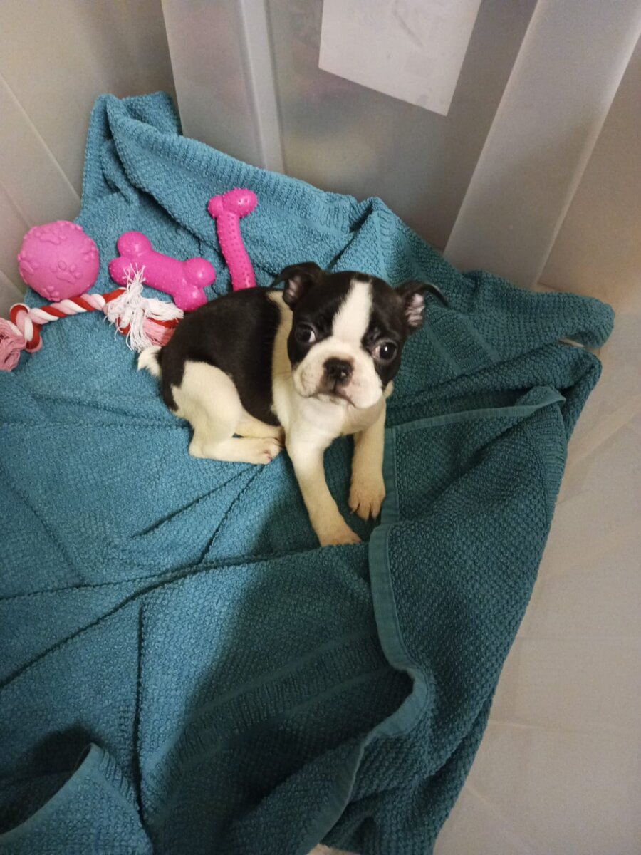 После того как забрали с автобуса в 06 утра, муж сказал заберет её на работу, чтоб не оставлять малыху одну