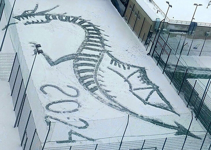 Листайте вправо, чтобы увидеть больше изображений