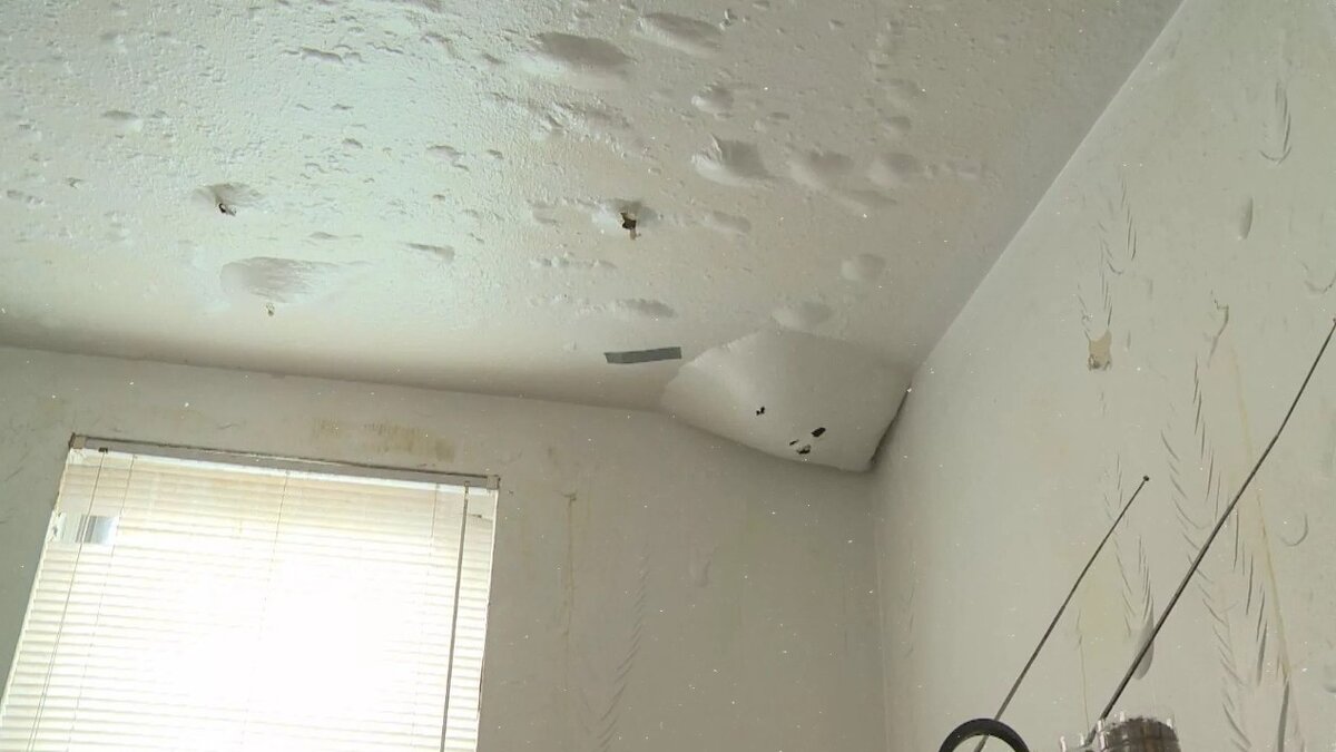 уровень шума 40 дб. правила проживания в многоквартирном доме. как уменьшить слышимость в квартире от соседей. прослушивание громкой музыки. аудиотехника hi-fi hi-end.