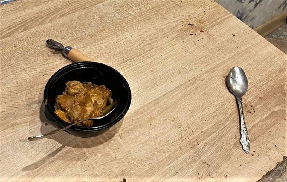 девочка обнимает льва. рыжая девушка со львом. каравай идет а собаки лают. брошенный лев. львы в отношениях.