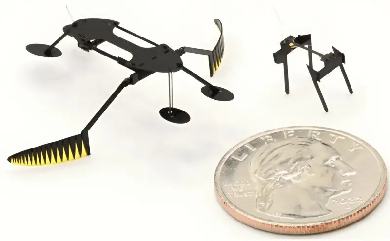 Двух роботов, похожих на насекомых, жука и клопа-водомерку, сконструировали в Университете штата Вашингтон (WSU).-2