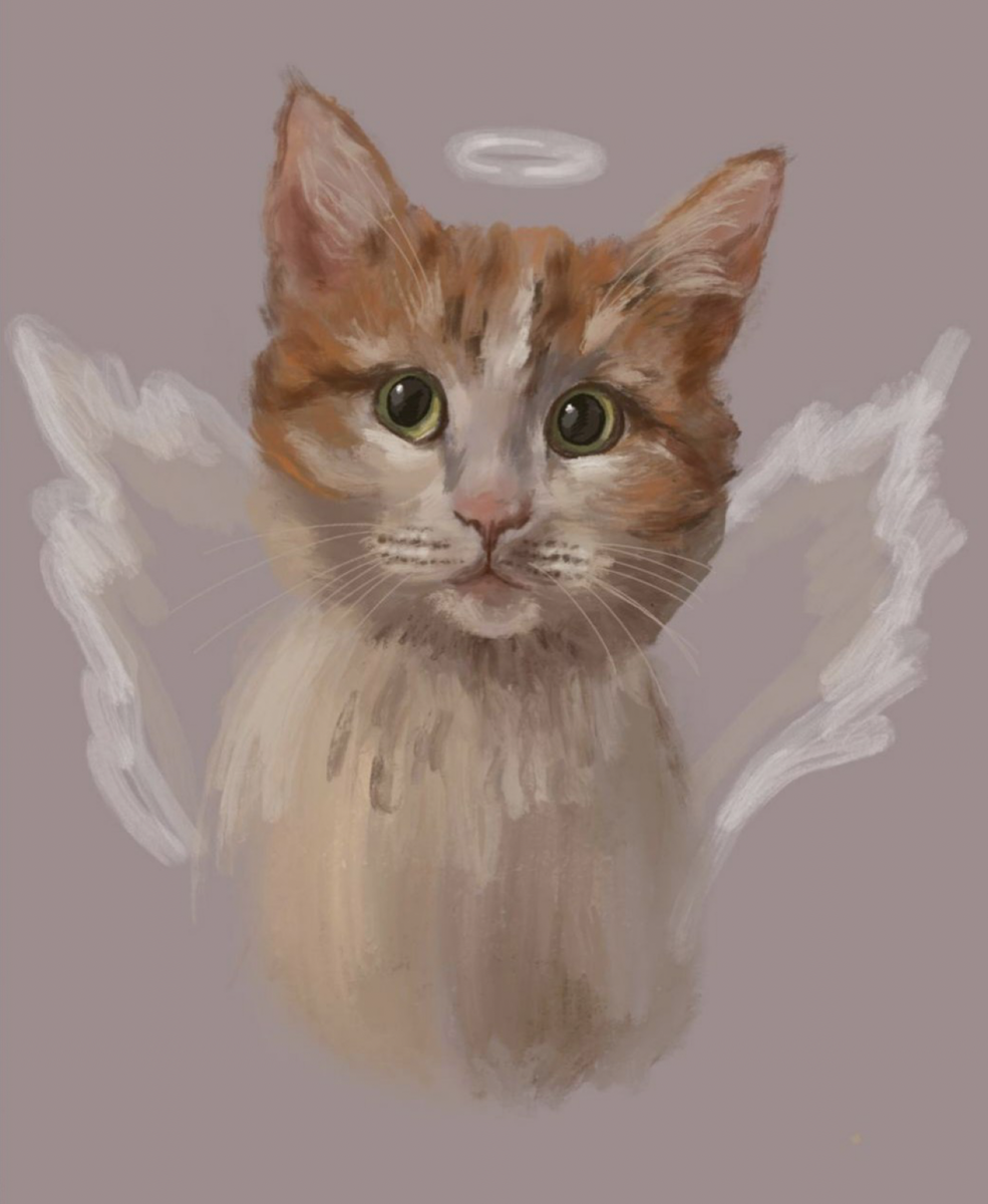 Кот - Мученик 