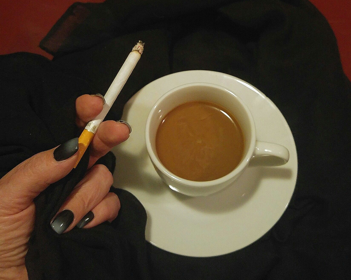 Фото Яндекс картинки.