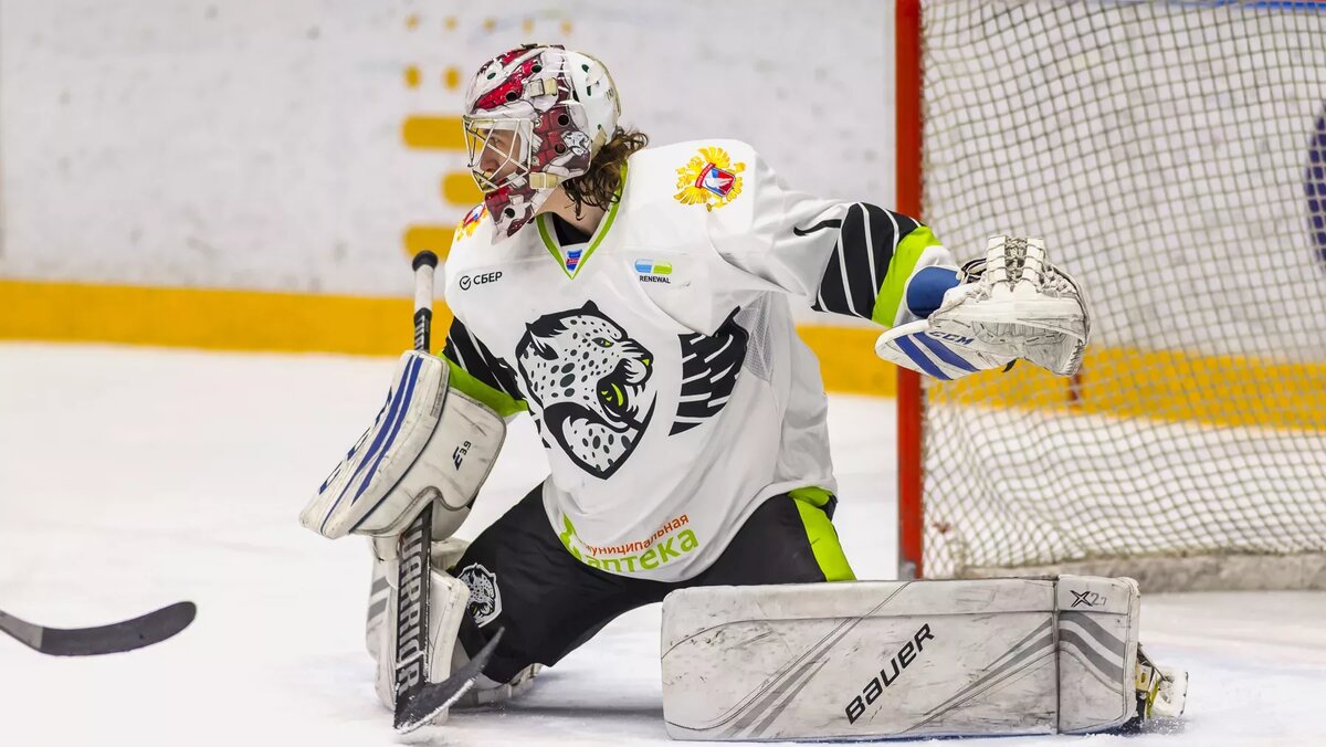 Хоккей игровой вид спорта