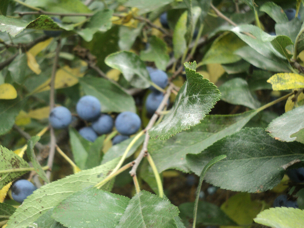 Фото автора канала