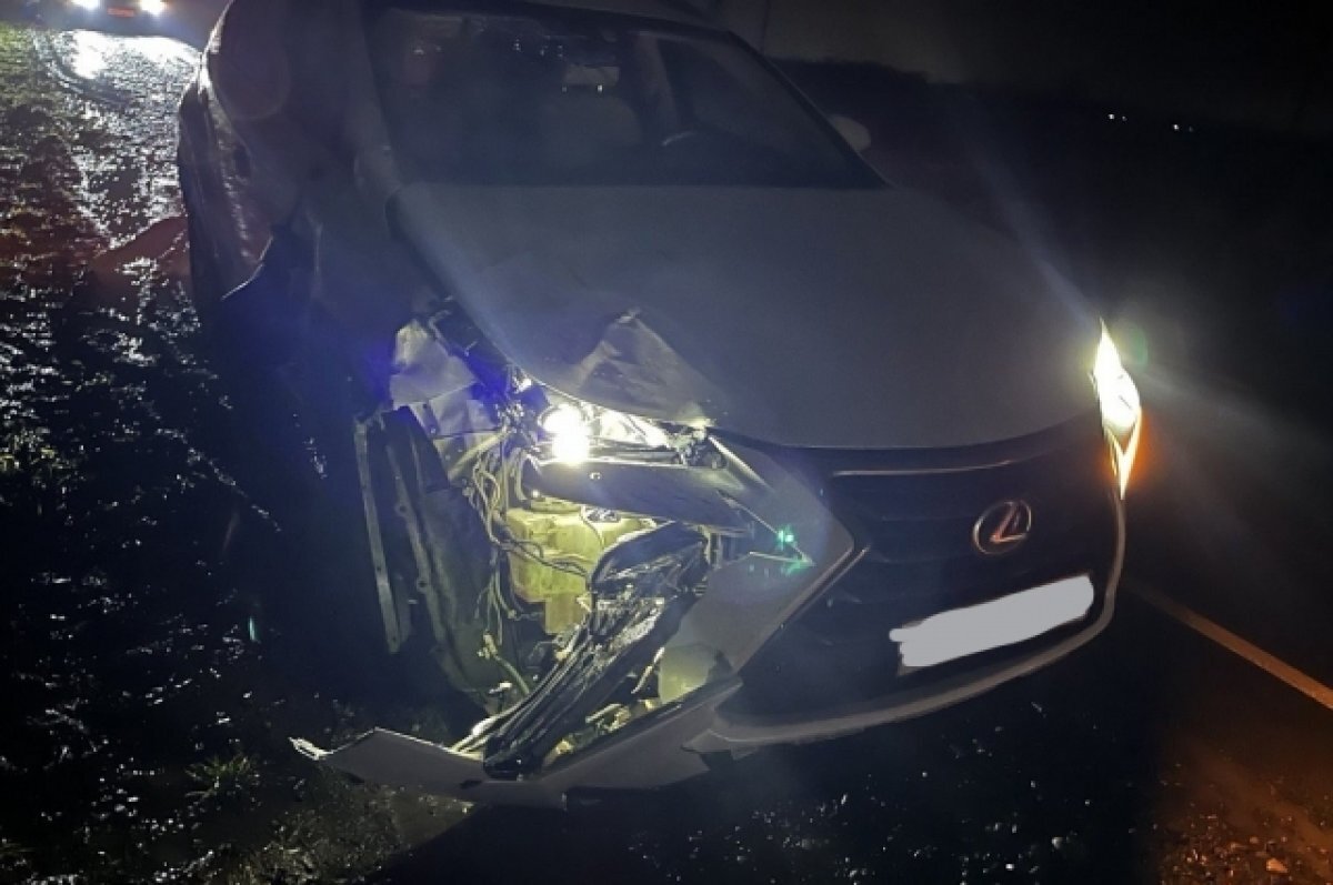    В Краснодарском крае водитель «Лексуса» насмерть сбил пешехода