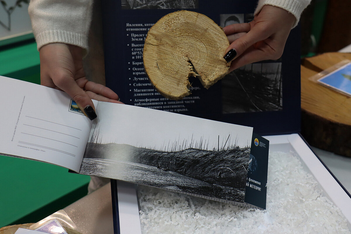 краеведческий музей челябинск метеорит. метеорит в музее челябинска. метеорит в музее челябинска. дело метеорита. челябинский метеорит в музее в челябинске.