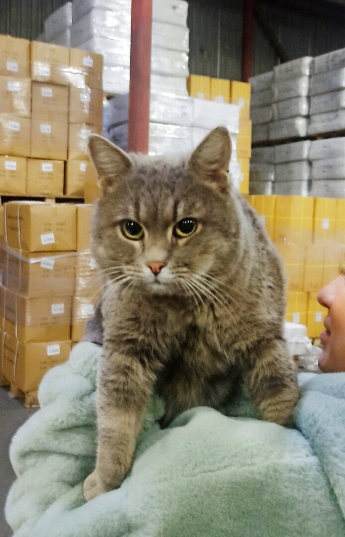 Он стал кому-то не нужен