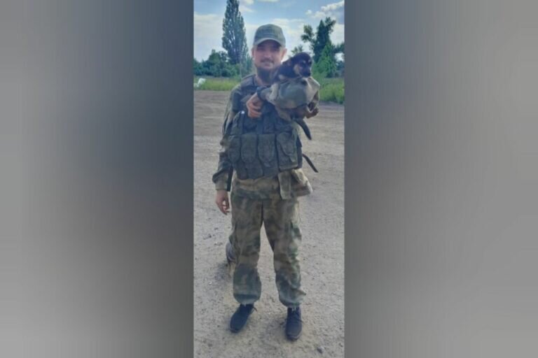    Командир из ЛНР написал о заслугах бойца СВО из Красногвардейского района Кристина Просвиркина