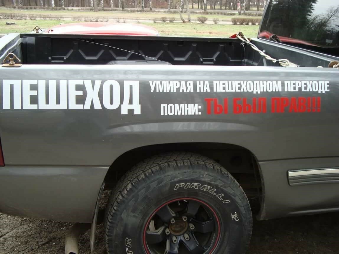 Позитивные собаки. Смешные животные. Селфи животных. Красивая обезьянка. Какие нибудь забавные.