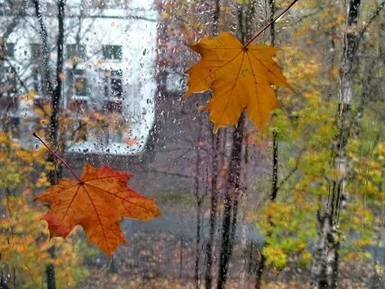 Свободный доступ интернет 