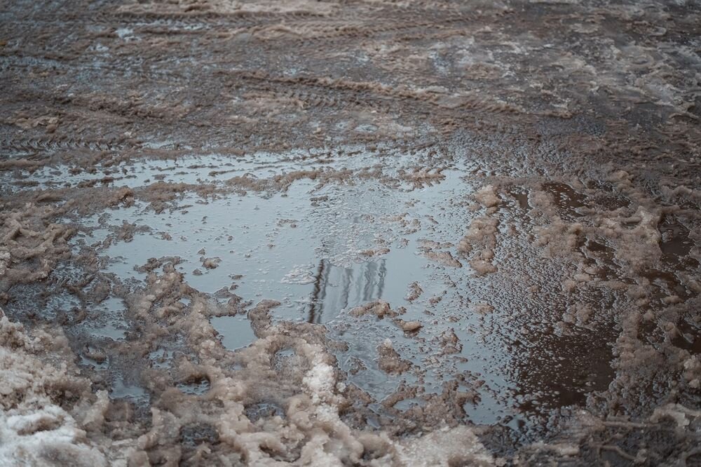 Фото: Леонид Смирнов