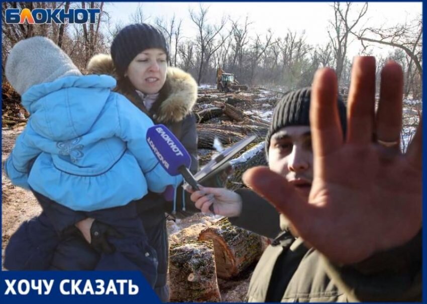 Вместо леса будет крематорий или парк: в Волгоградской области лес ...