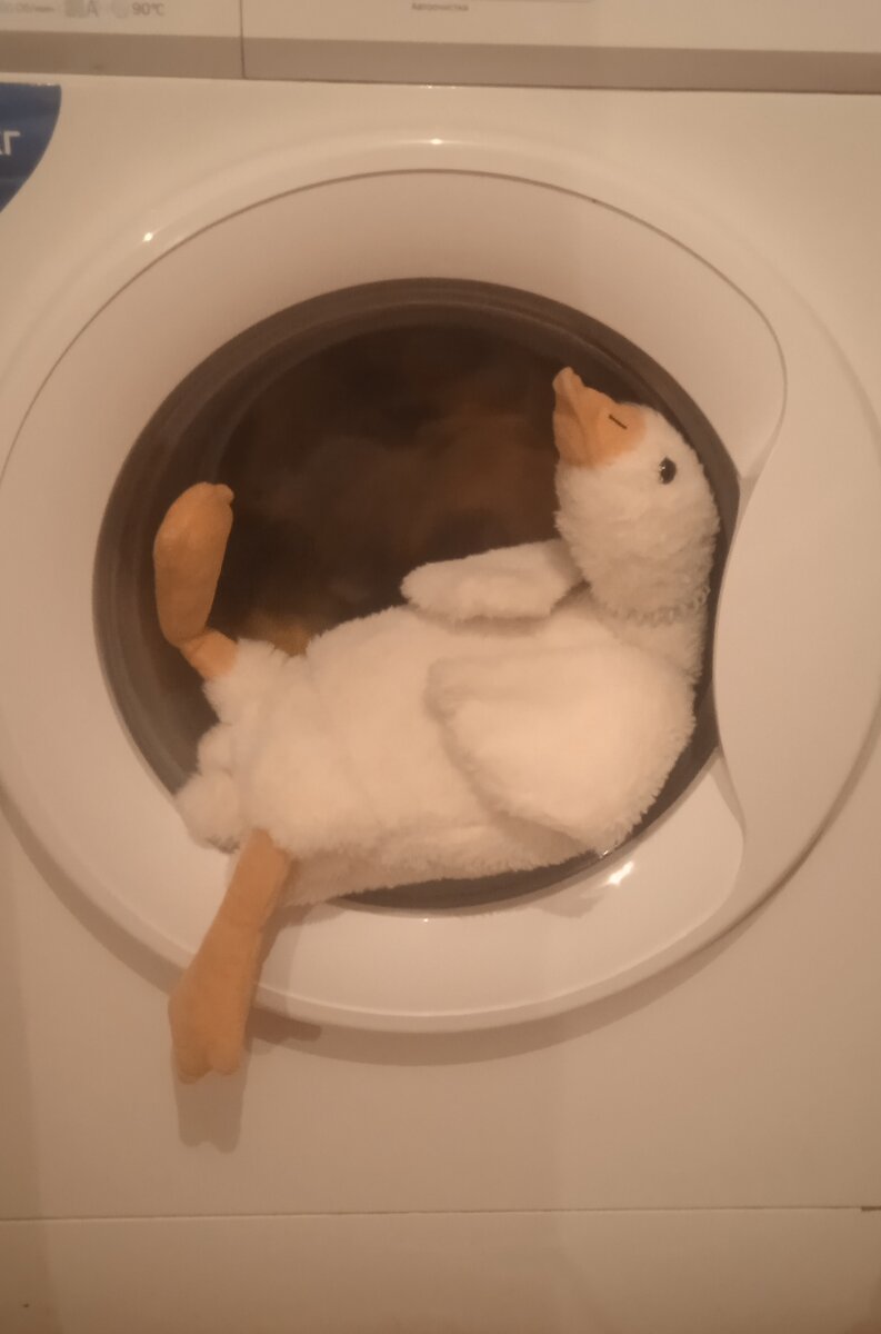 Гусю тоже интересно)😊