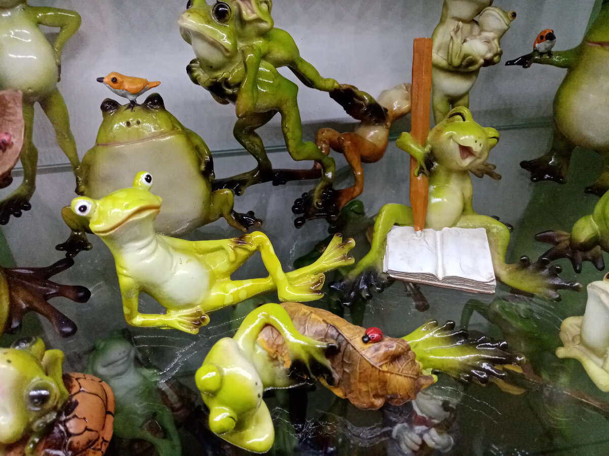 Квак и жаб. Собака есть лягушек. Собака съела лягушку что делать. Африканская лягушка голиаф. Жаба пес.