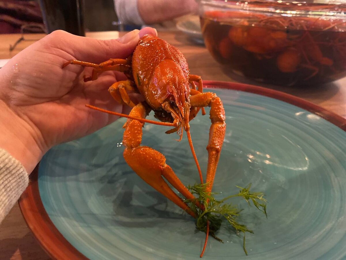 Букетик укропа Вам, дорогой читатель