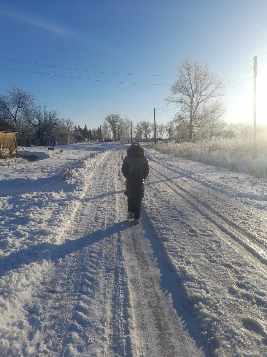 доброе зимнее утро пятницц. белка зима. доброе морозное утро декабря пятницы. пожелания с добрым зимним утром. доброе морозное утро декабря пятницы.