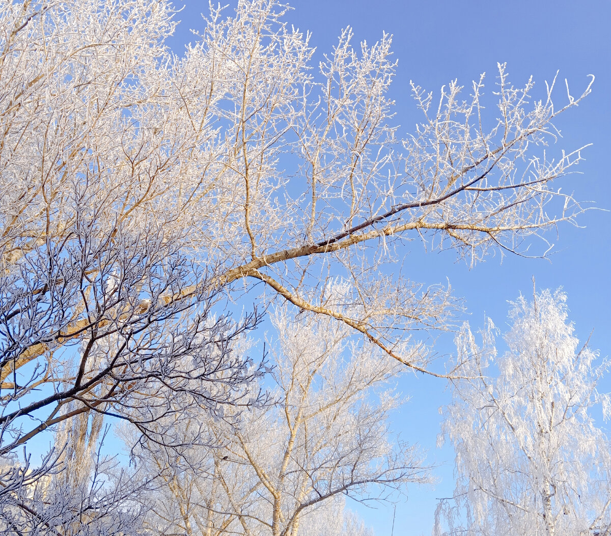 Вид с балкона