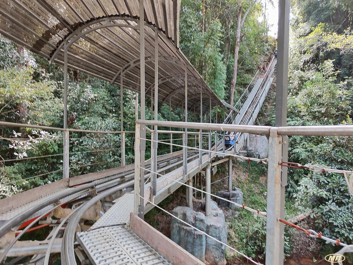 что означает пешком. фразеологизмы ходить пешком под столстол. польза ходьбы. ежедневные прогулки на свежем воздухе. быстрая ходьба.