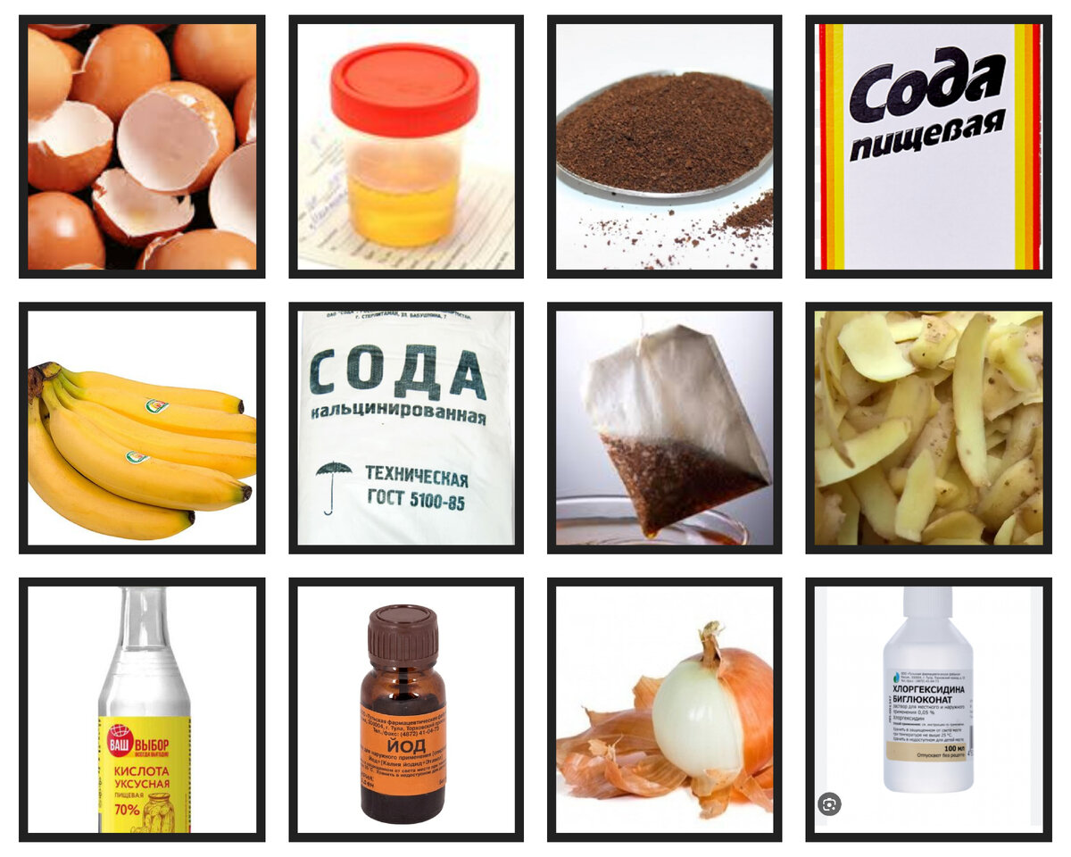 А не выбросить ли все это в помойку? 