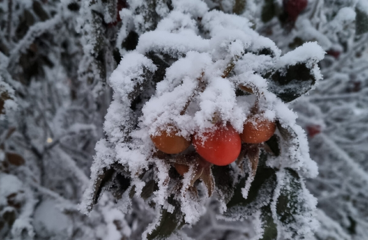 Последние мгновения зимы) 