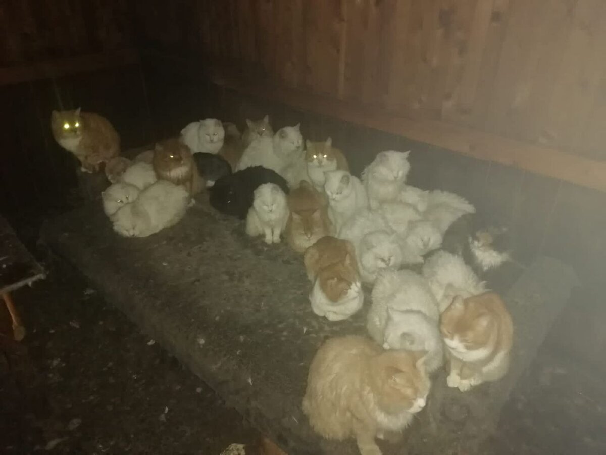 Фото автора. Я не могу это фото комментировать.