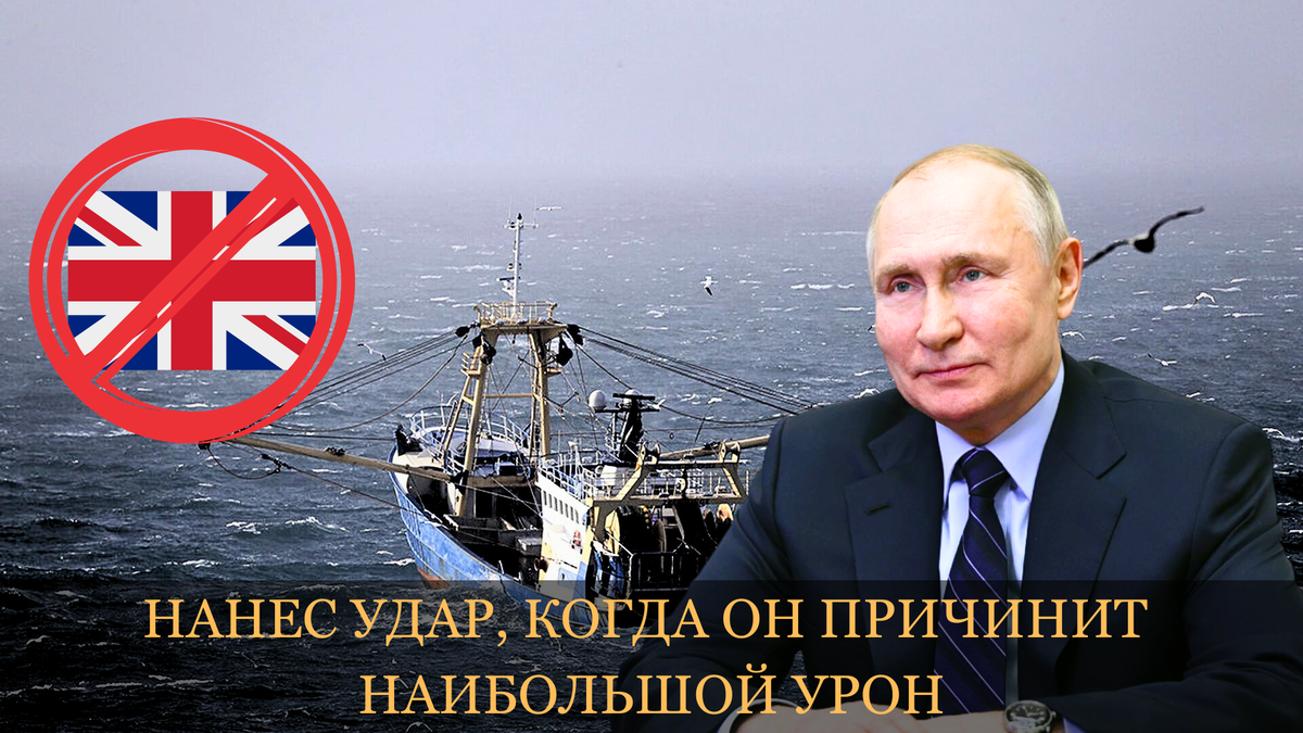 Lives in the sea перевод. The sea poems for kids. Lives in the sea перевод. Lives in the sea перевод. Lives in the sea перевод.