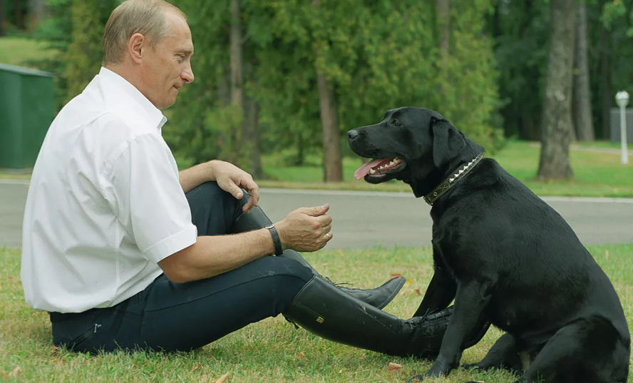 случаи бешенства у людей. самые частые переносчики бешенства. наиболее характерные симптомы бешенства. заболевания вызываемые вирусом бешенства. может ли собака быть переносчиком.