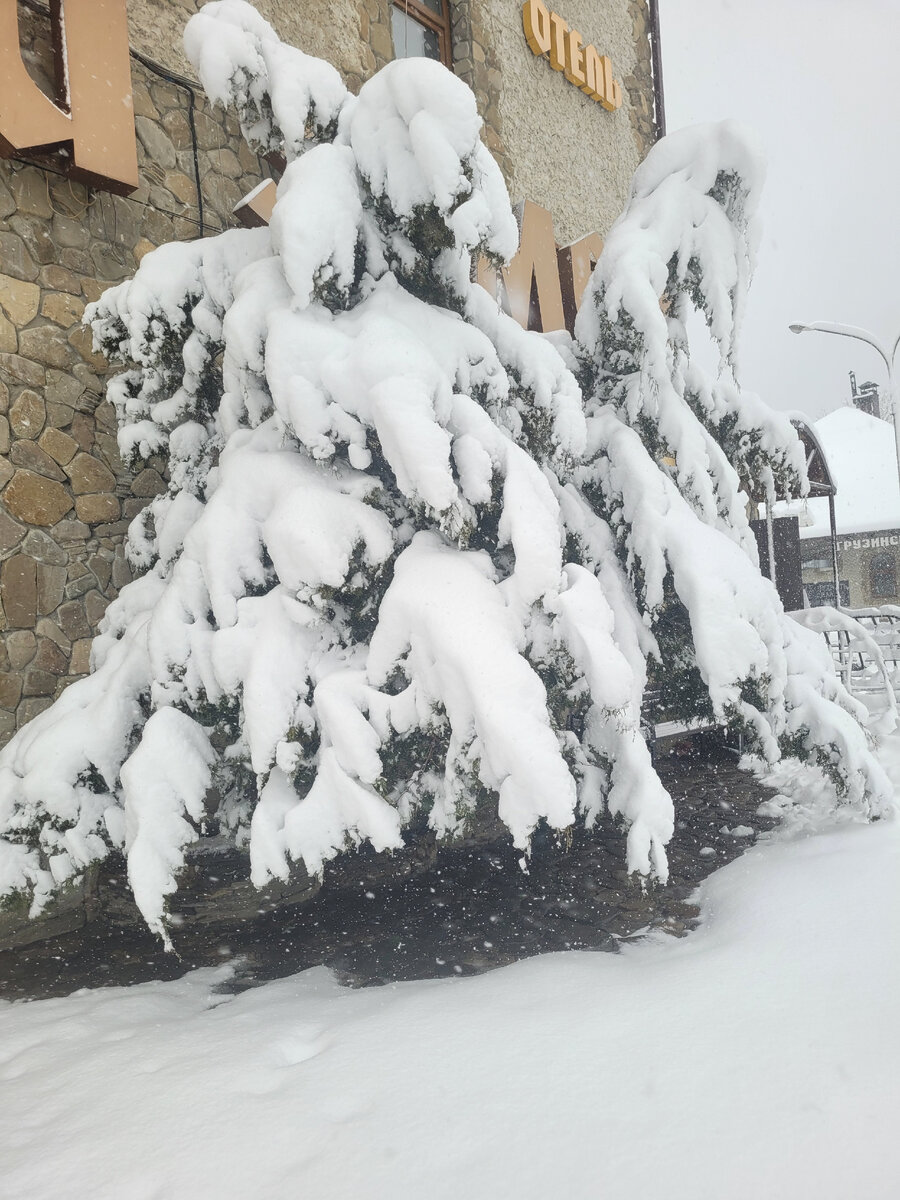 Зимняя сказка в Горячем Ключе