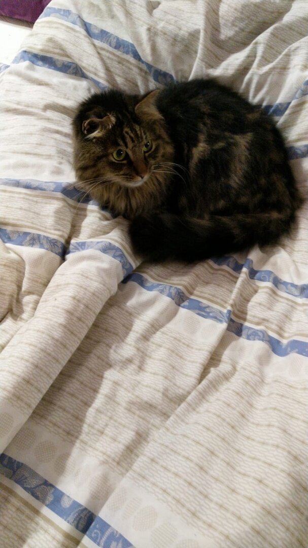 Помогите картинка. Требуется работник. Интеллектуальный юмор работа. Помогите найти человека. Нужно срочно найти человека.