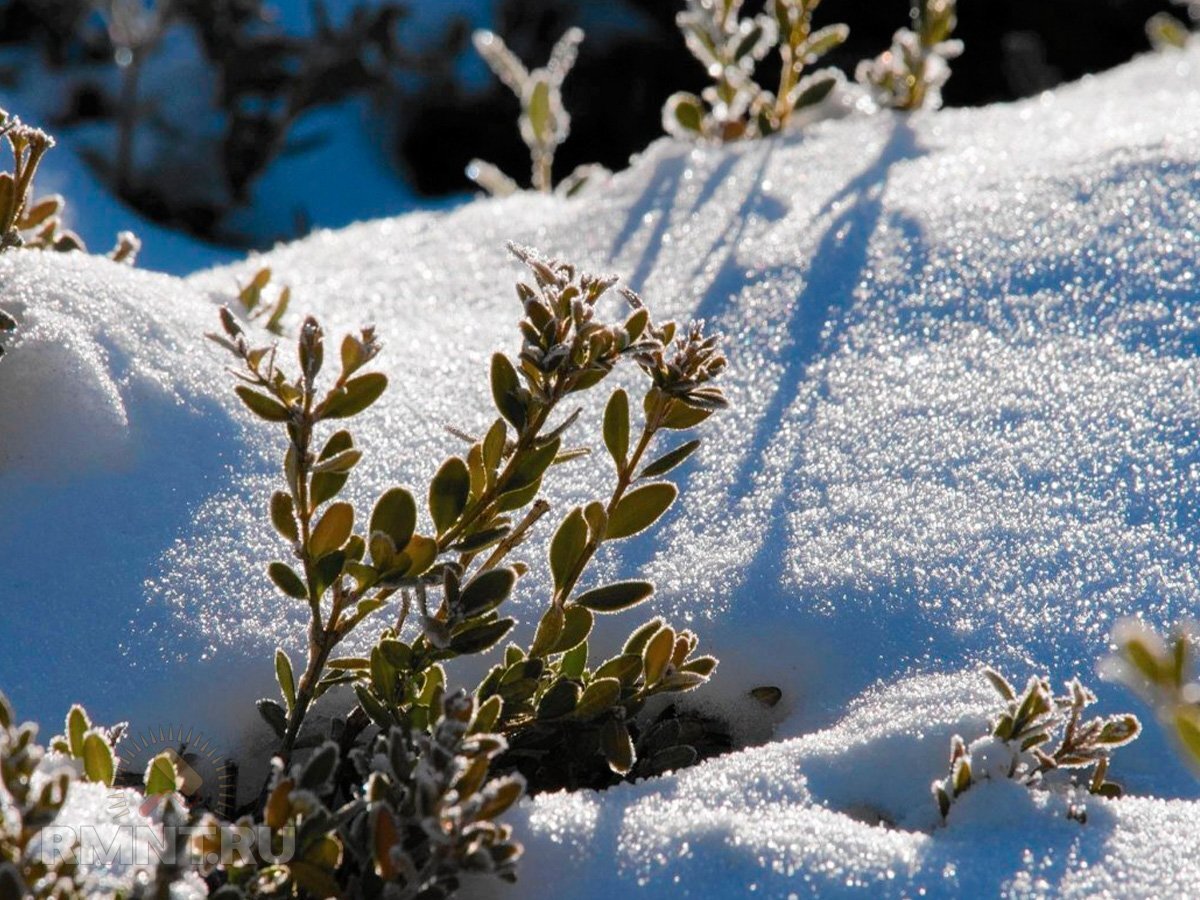   Фото uralsad74.ru