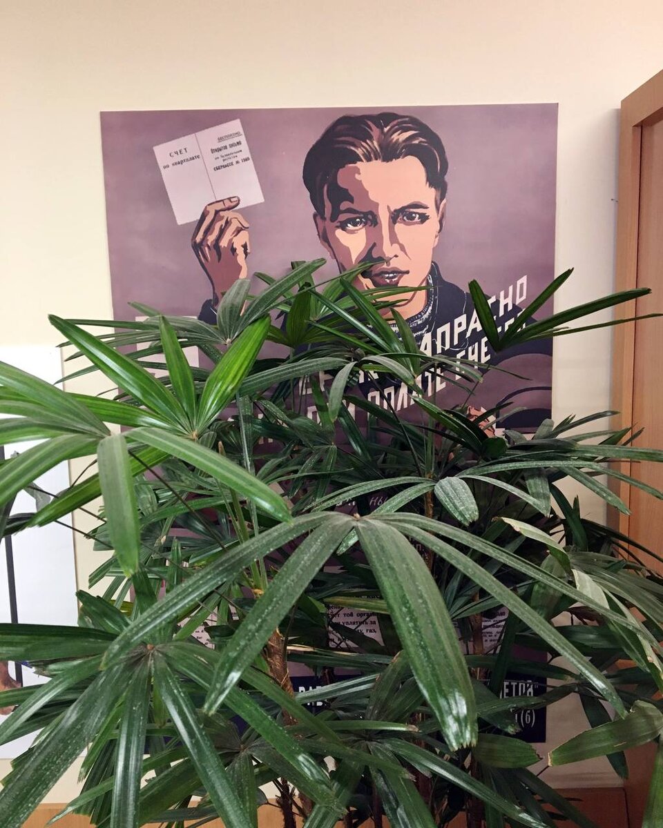 Международная выставка-форум «РОССИЯ», повильон «Умные финансы»