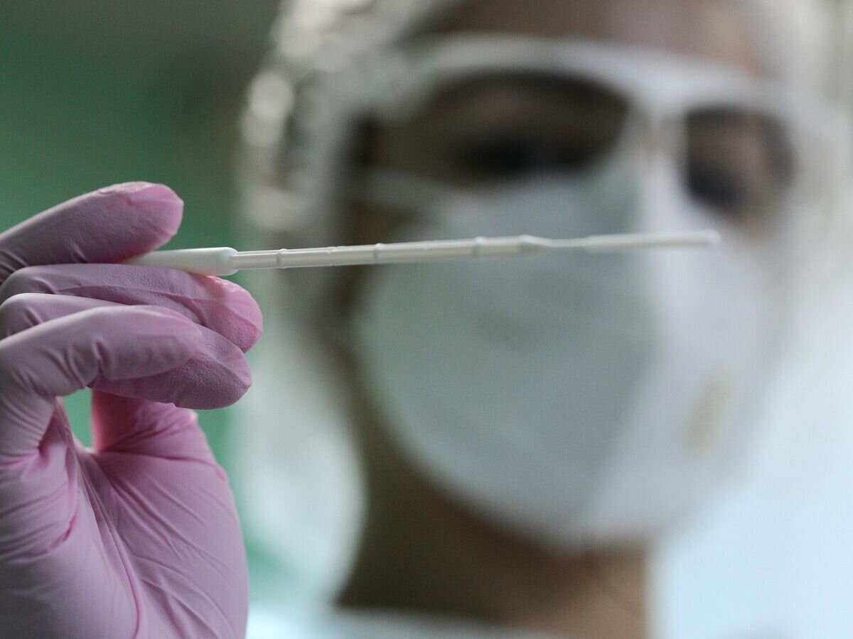 Пцр тест долго. Пцр-исследования на covid-19. Как выглядит пцр тест на коронавирус. Пцр тест евромед омск. Результат теста на коронавирус бланк.